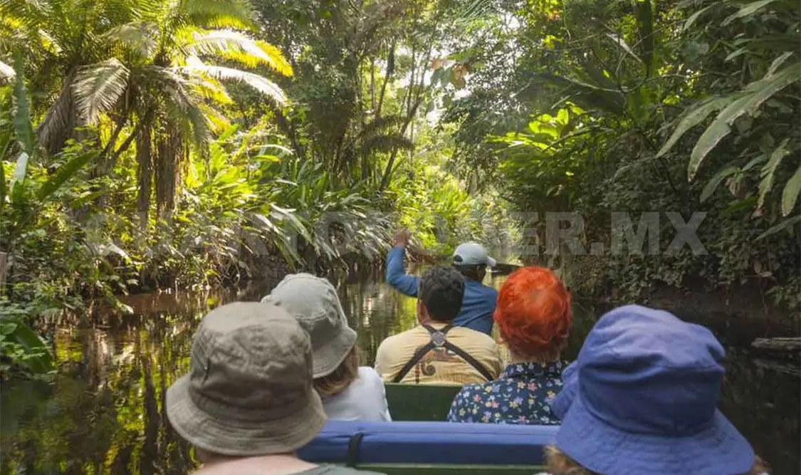 Zona Selva de Chiapas padece escasez turística