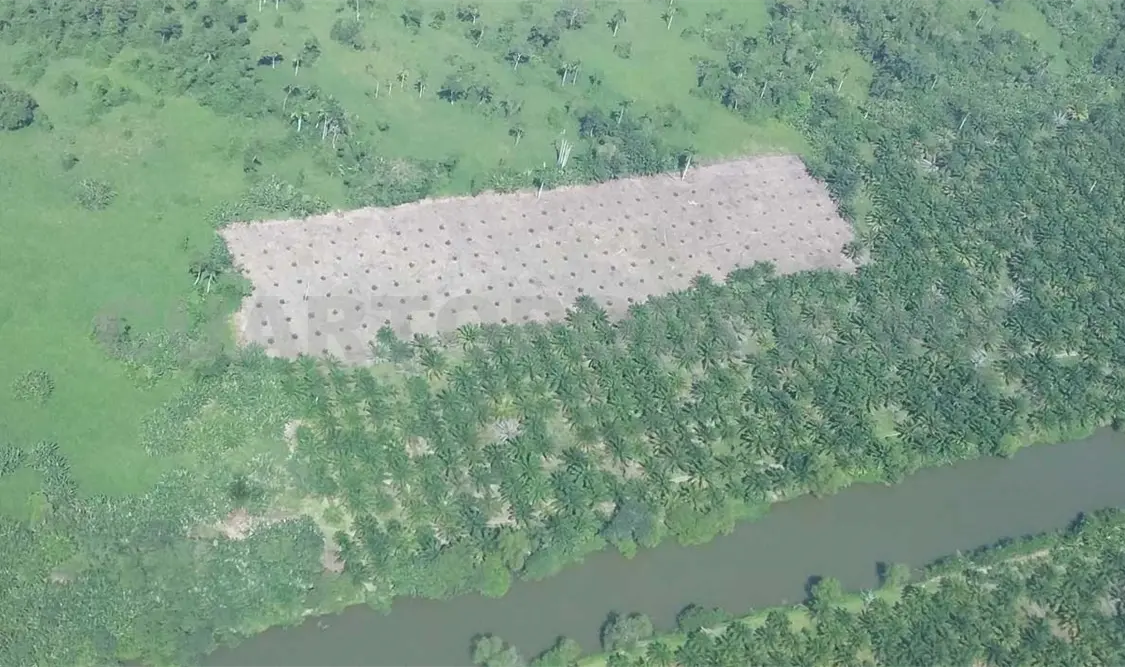 El impacto es directo para los ecosistemas acuáticos de la reserva. Cortesía