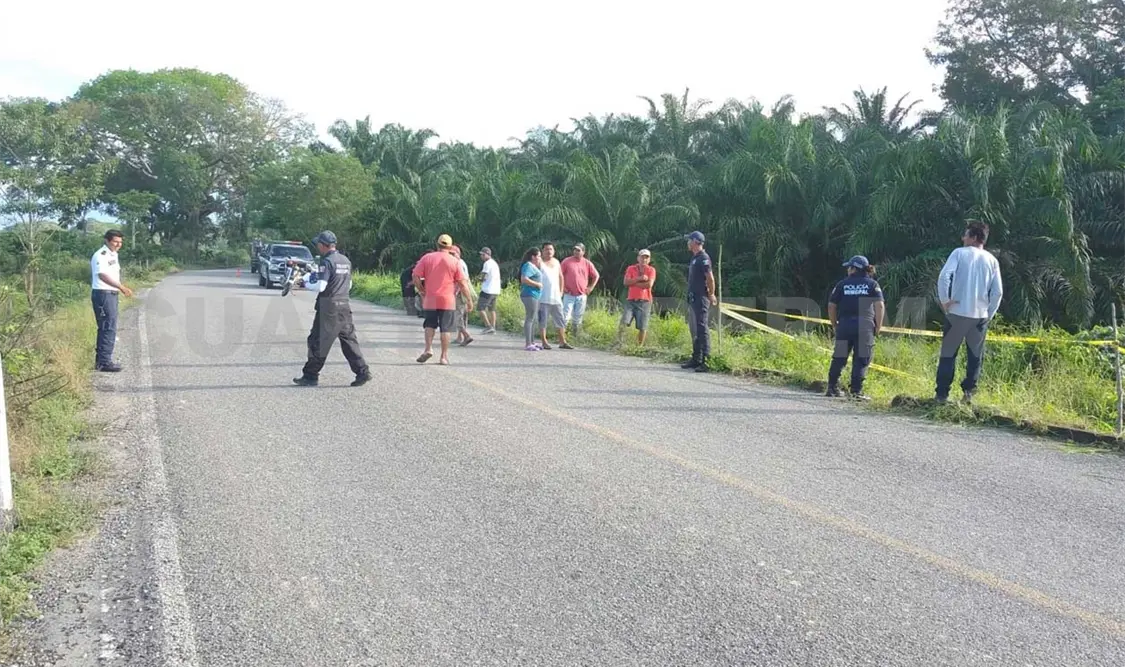 Se sale de la carretera y fallece al colisionar