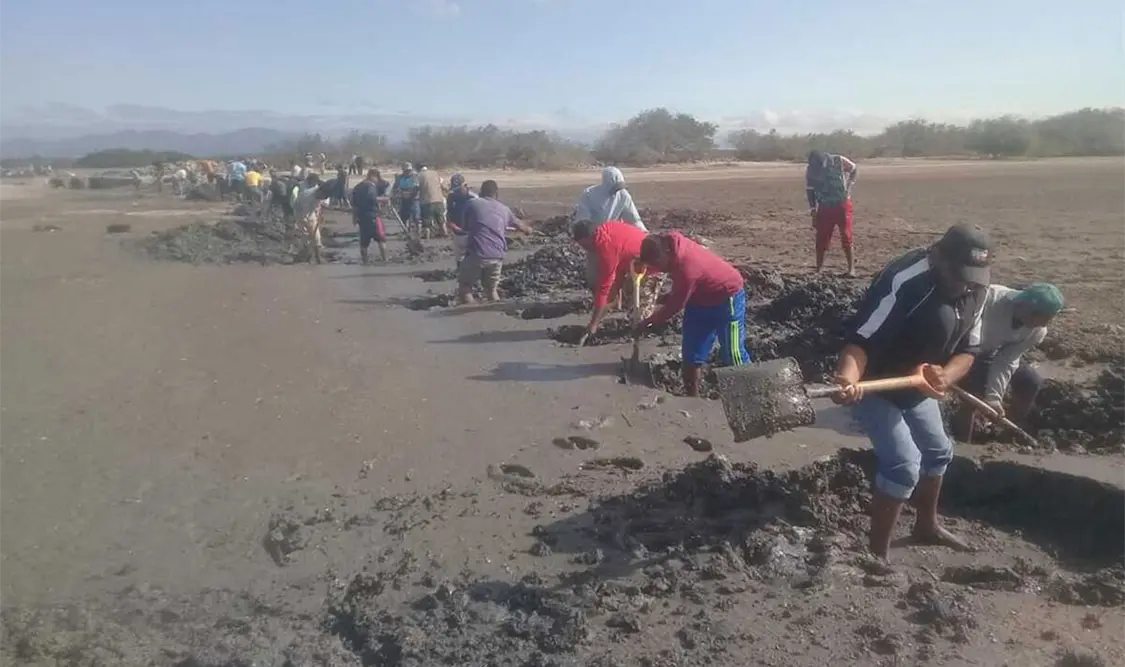 Pescadores piden declaratoria por contaminación