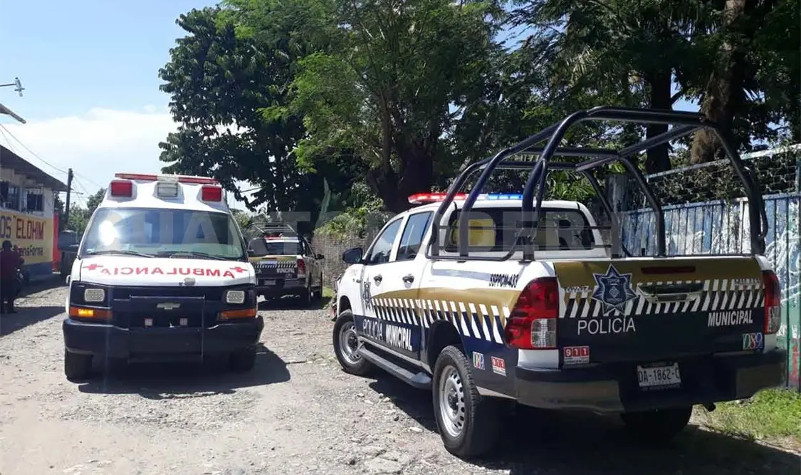 Pierde la vida por una mordedura de serpiente