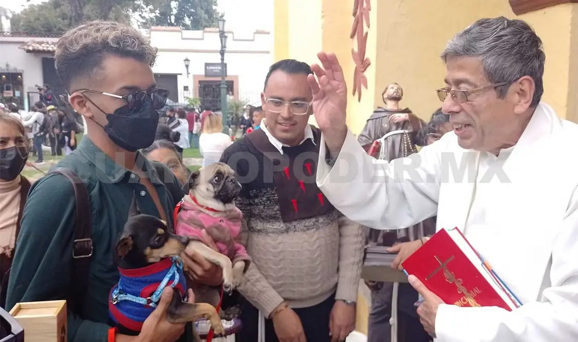 A la bendición dada llegaron caninos de todas las razas, colores y tamaños, algunos en brazos de sus dueños. Manuel Martínez / CP