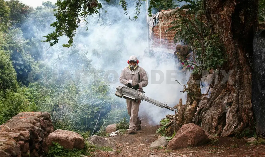 Casos de dengue aumentan; hay 623