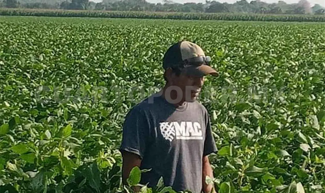 Acusan trabas y candados para acceder a apoyos