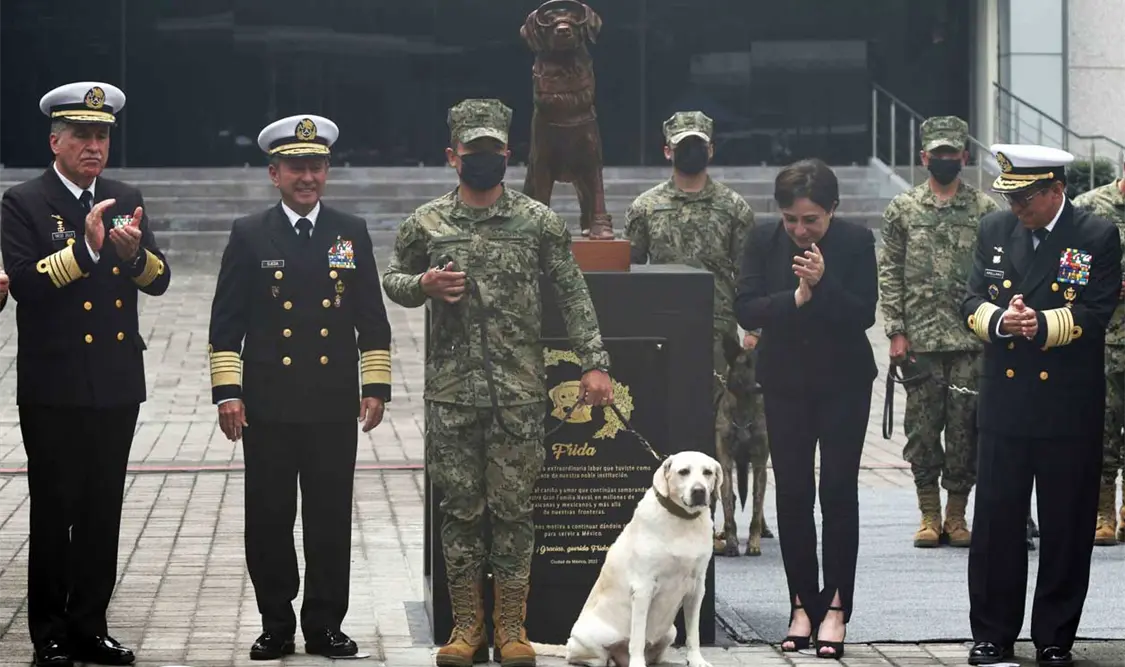Develan escultura de Frida, perro rescatista