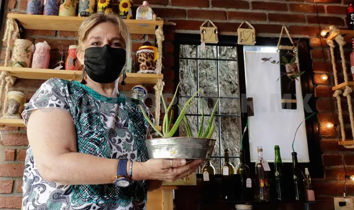 Nodess impulsan economía solidaria y formalidad