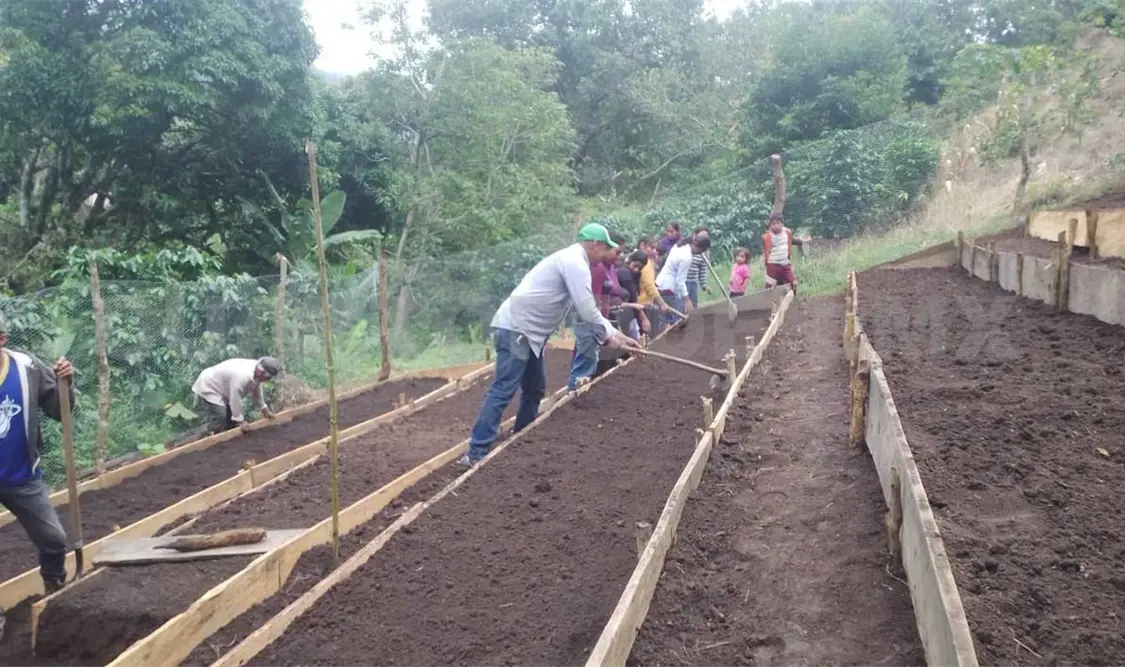 Las capacitaciones y trabajos buscan aumentar la producción y conservar el medio ambiente. Cortesía