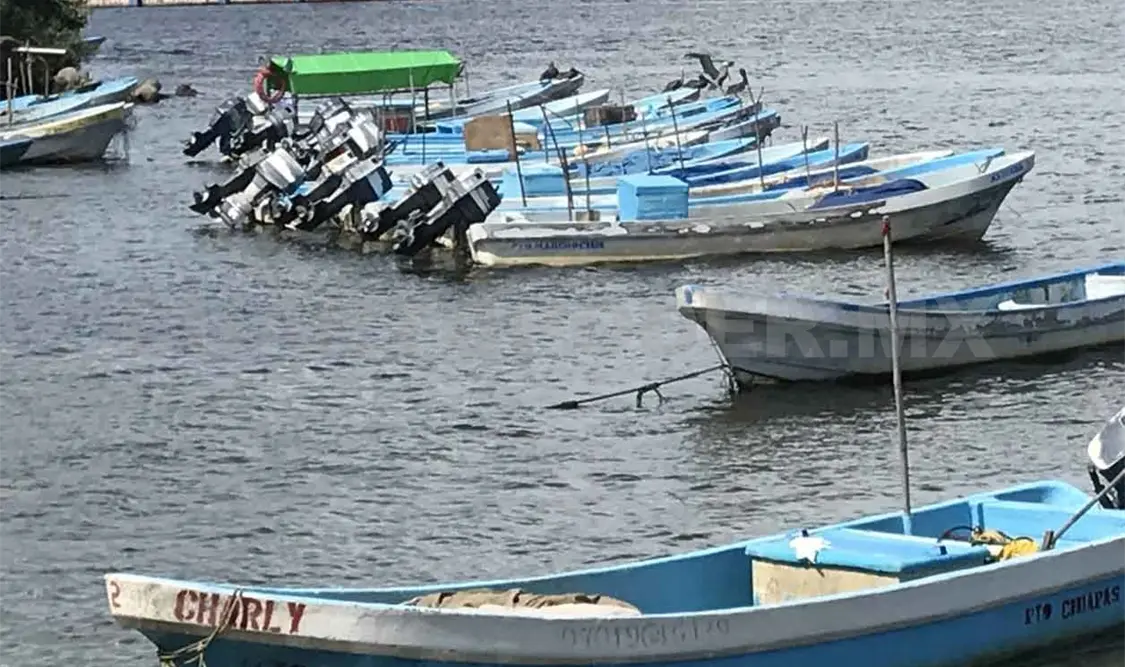 Cierran la navegación para lanchas tiburoneras