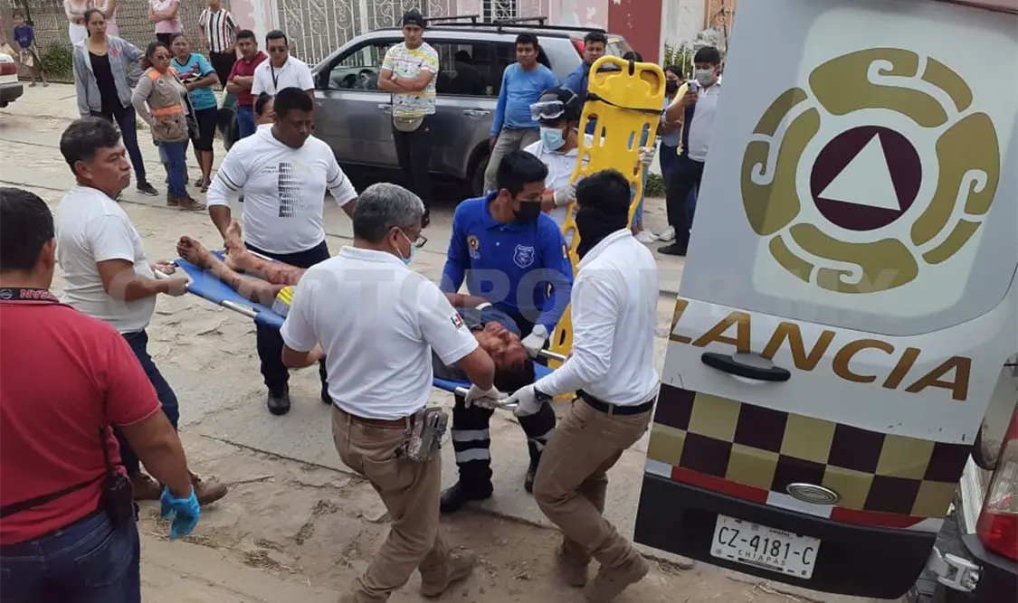 Perrito “héroe de Copoya” no será sacrificado