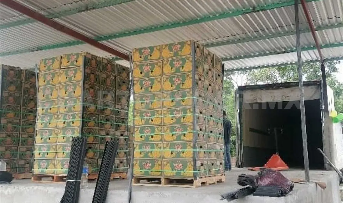 El viernes dieron el banderazo de arranque desde las instalaciones de la extinta Conadeca, en Mazatán. Ramón García / CP