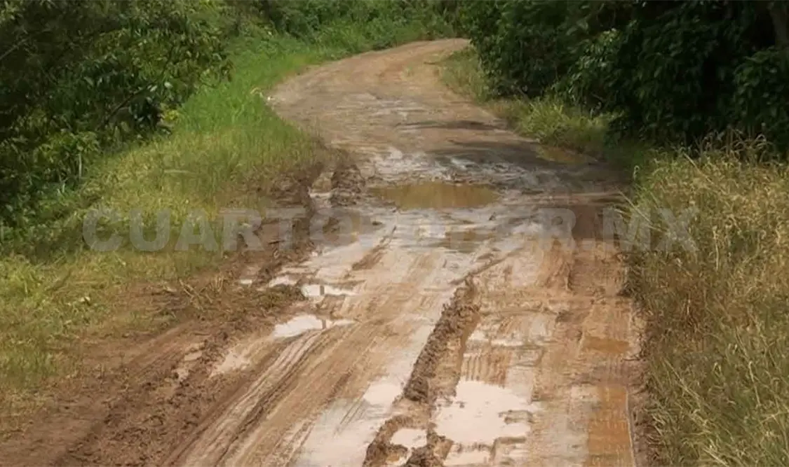 Piden mayor vigilancia en caminos saca cosechas