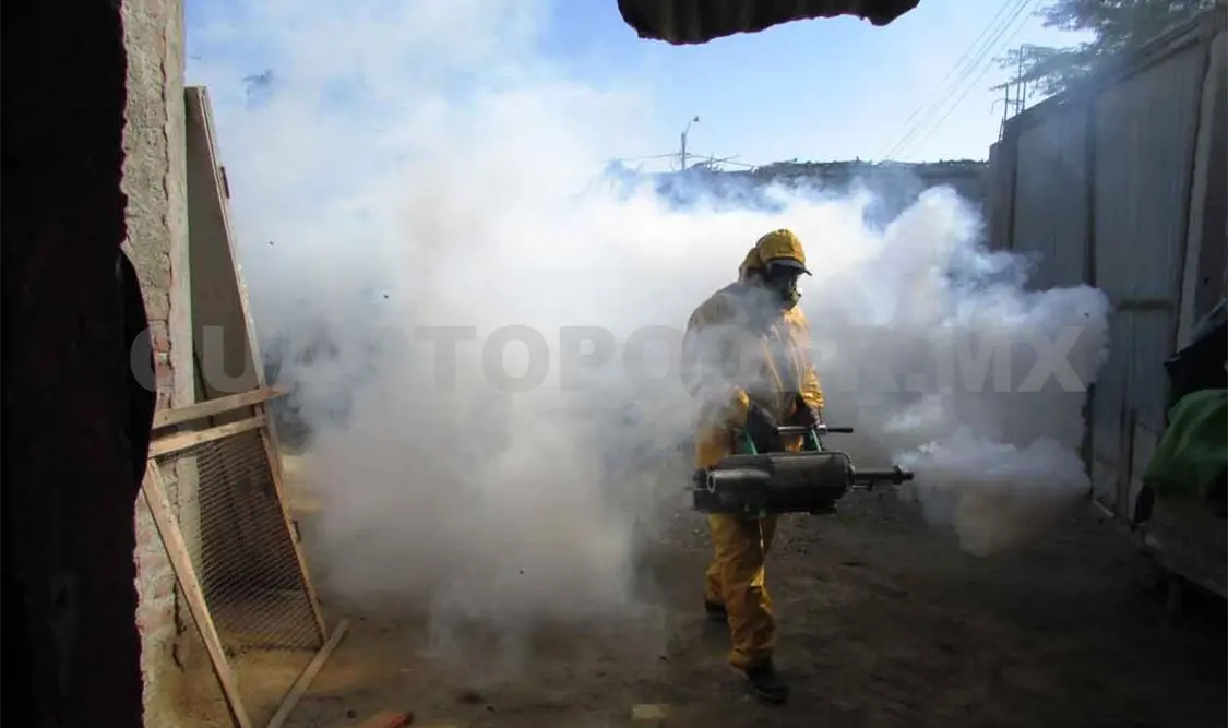 Población debe protegerse del dengue