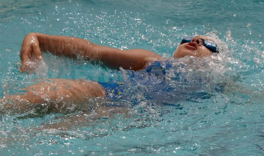 Delfines asisten a la Copa Jarocha 2022