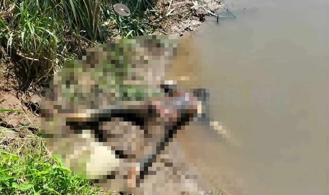 Hallan cadáver en las márgenes de un río