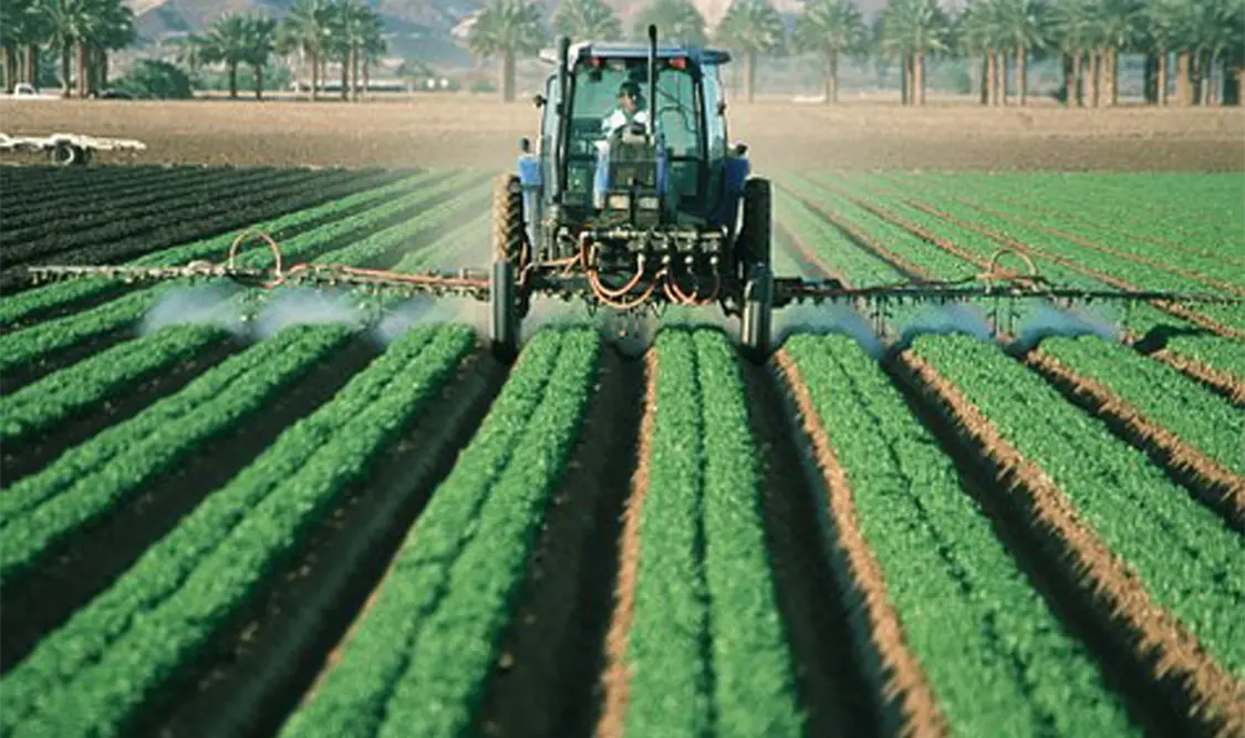 Crece economía 1.0 % en el tercer trimestre