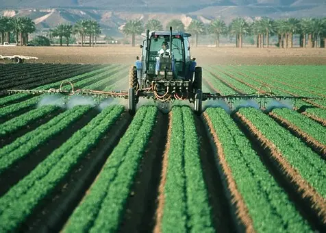 En los primeros nueve meses de 2022, el PIB oportuno creció 2.7 % a tasa anual. Cortesía
