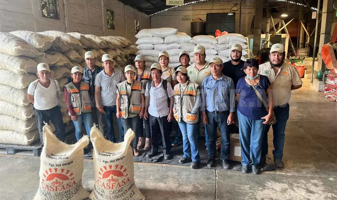 Productores de cacao continúan exportando