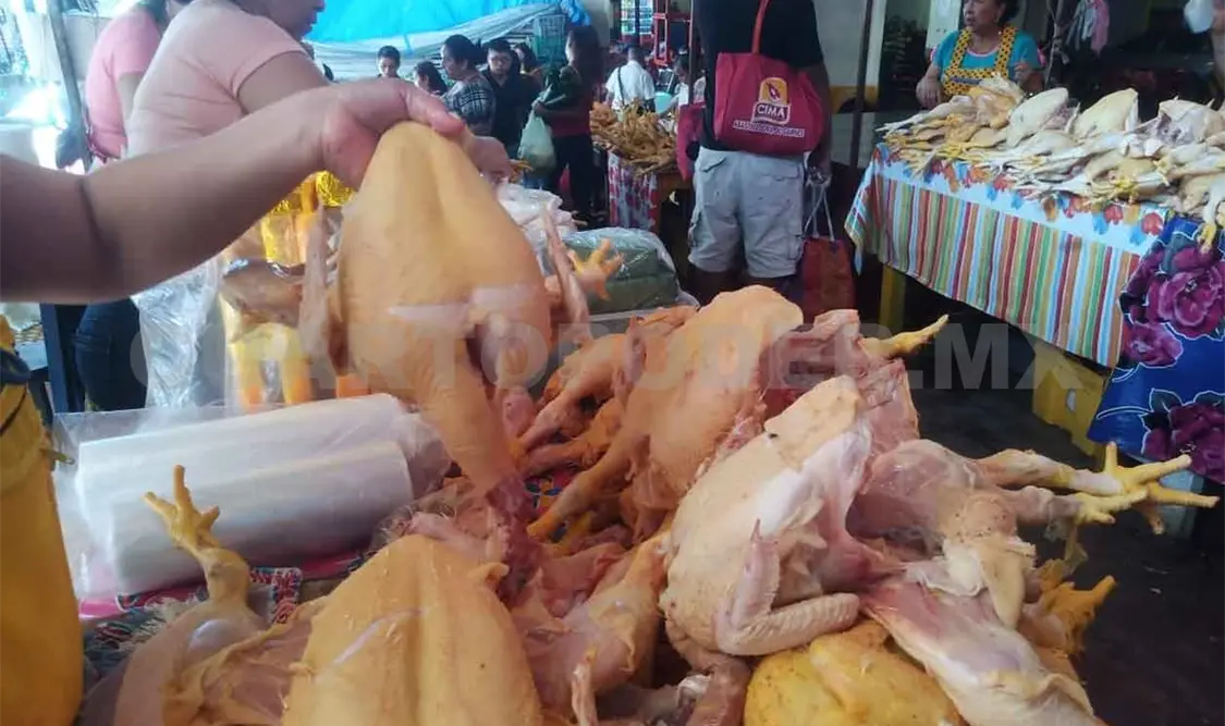 Preocupa posible aumento de pollo por influenza aviar