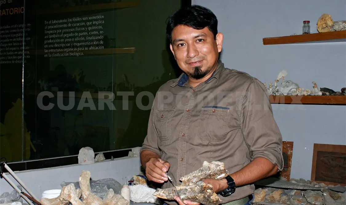 Arrancará proyecto de paleontología