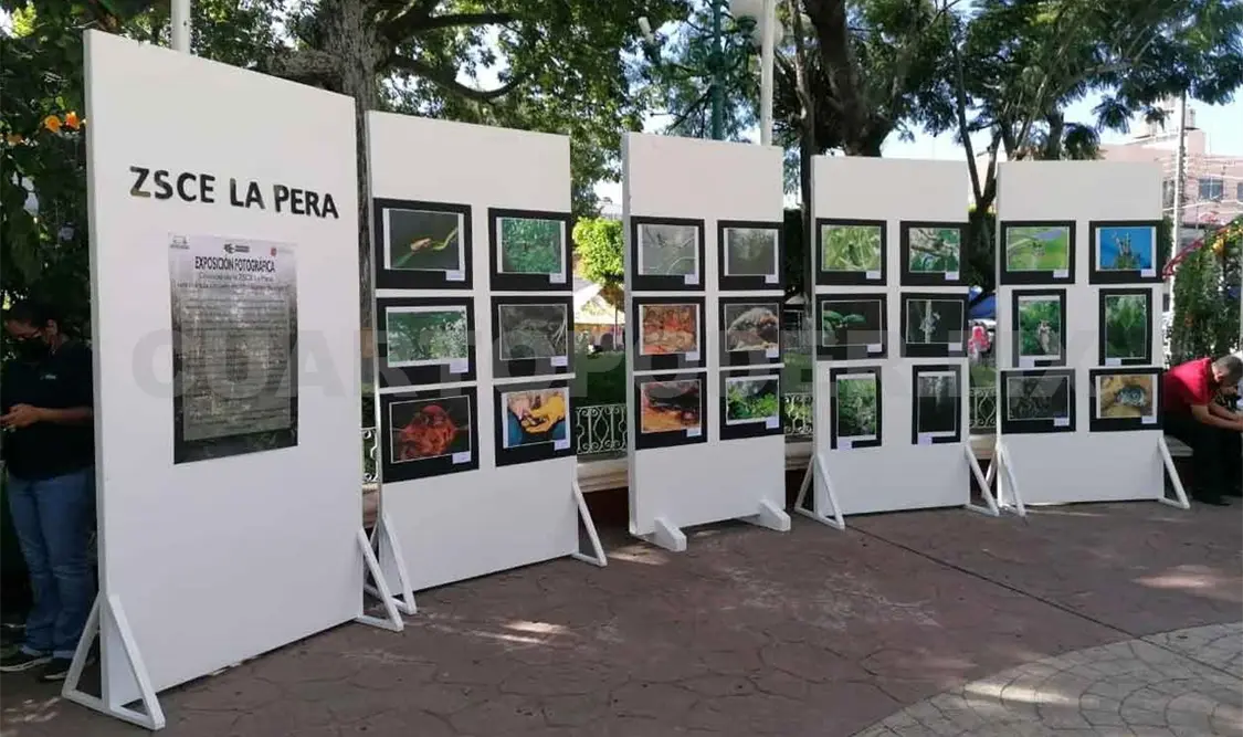 Cumple La Pera 16 años como zona ecológica