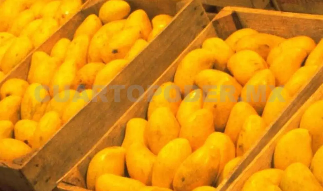 Buscan fortalecer exportación de productos