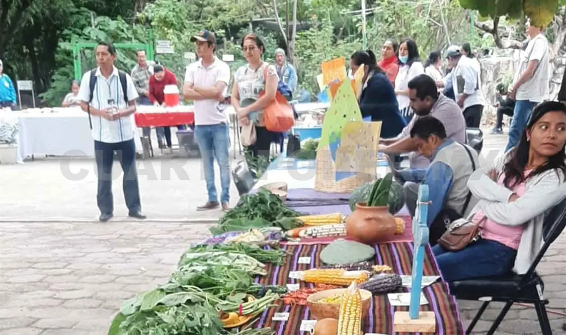 Celebra 73 aniversario Jardín Botánico