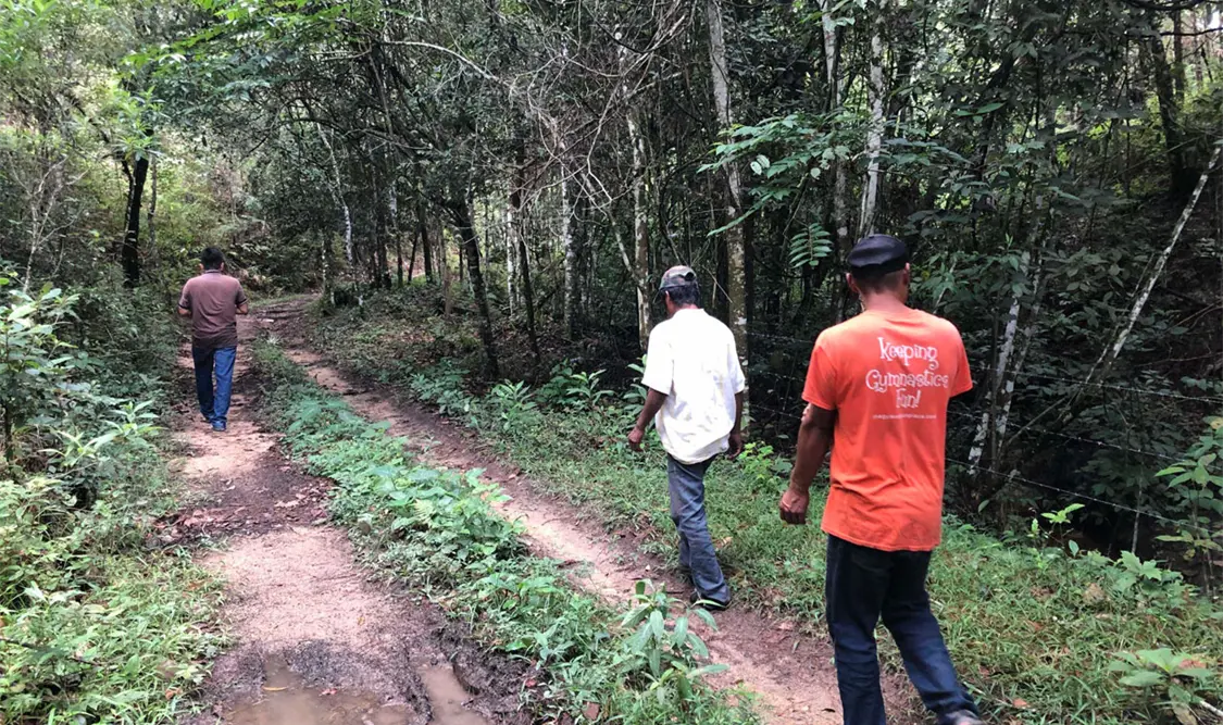 Exigen aplicación de sentencia en los Chimalapas