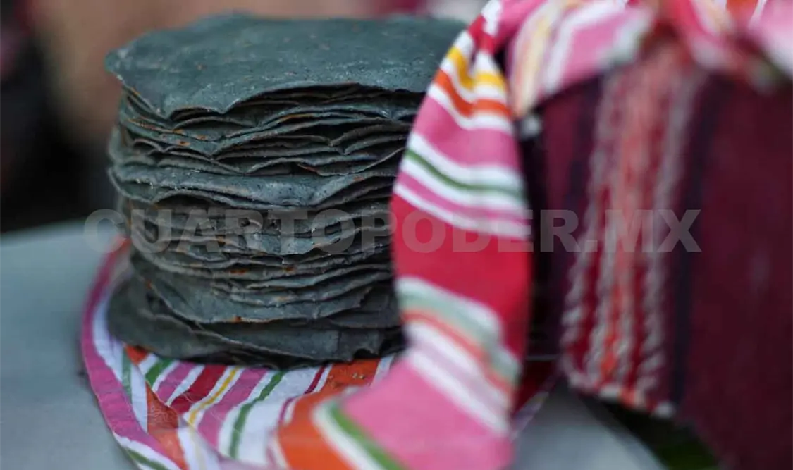 Desarrollan tortillas con sabor a hierba santa
