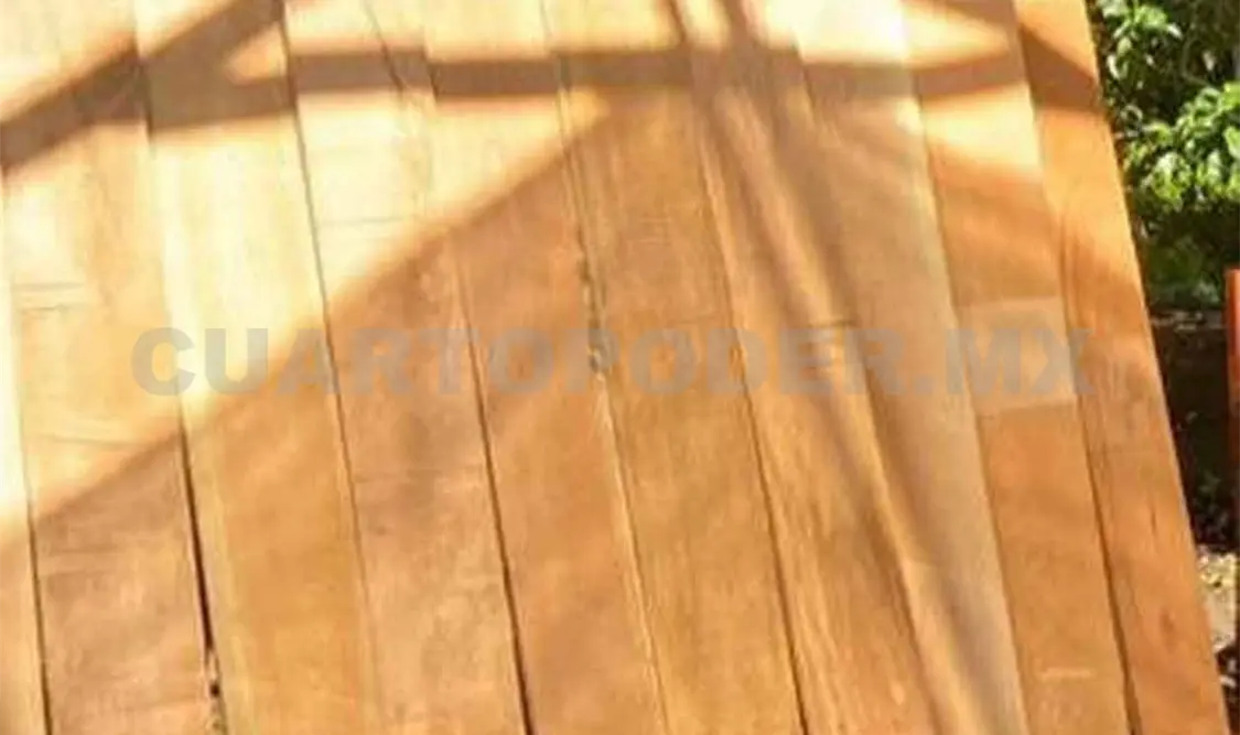 Comercializan madera de cedro a Sinaloa