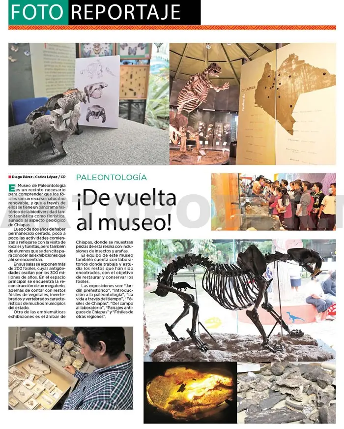 ¡De vuelta al museo!