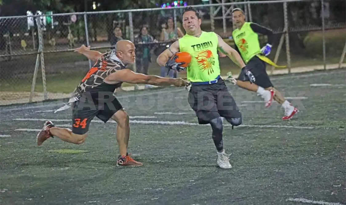 Másteres del ovoide con alas de campeonato