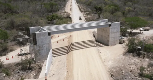 La activista aseguró que las comunidades por donde se realiza el trazo del Tren Maya no apoyan el proyecto. Cortesía