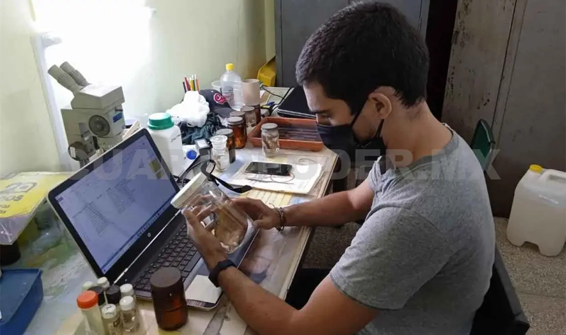 Hace falta más estudios sobre biodiversidad