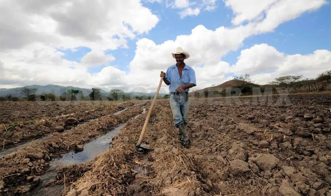 Necesaria una ley que proteja los suelos agrícolas