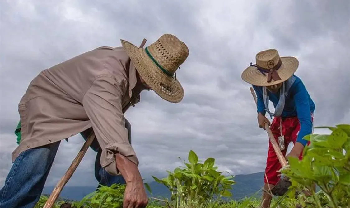 Los apoyos a campesinos traerían beneficios ambientales como la disminución de la deforestación, destacó el contralmirante Mora Chávez. Cortesía