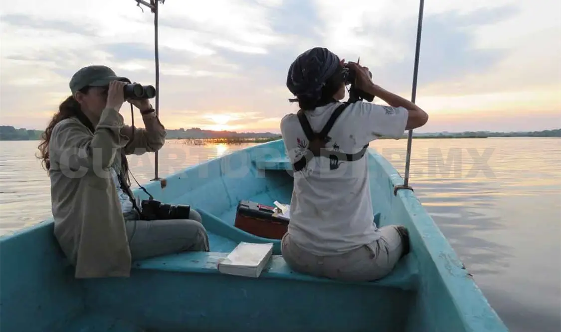 Monitoreo biológico, herramienta para la conservación