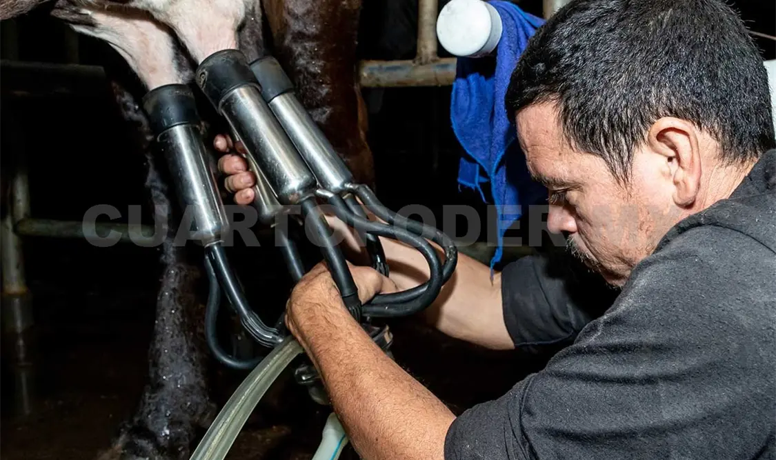 En Chiapas la producción de leche forma parte importante de la actividad pecuaria en varias regiones. Diego Pérez / CP