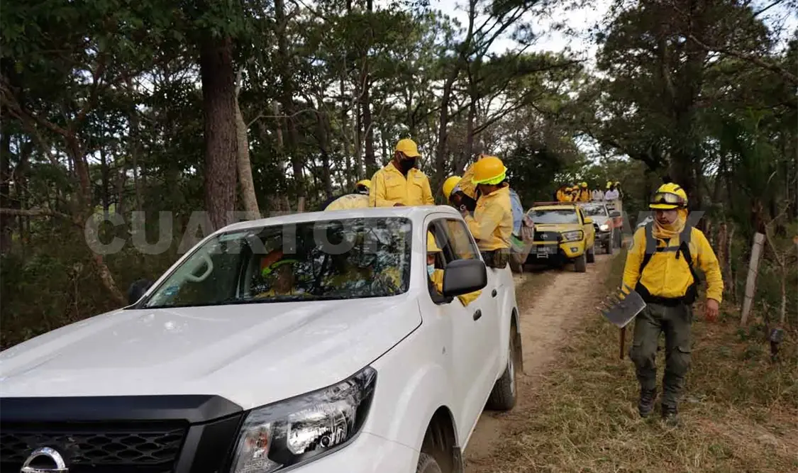 Realizan acciones para el manejo del fuego