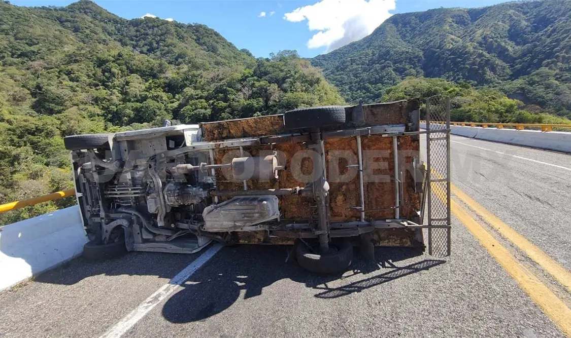 Camión cargado de pollo queda volcado en autopista