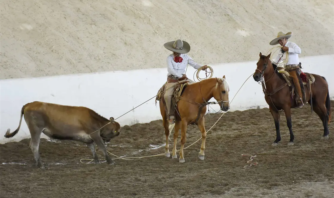 El municipio de Villa Corzo recibirá a los mejores exponentes del deporte nacional por excelencia. Cortesía