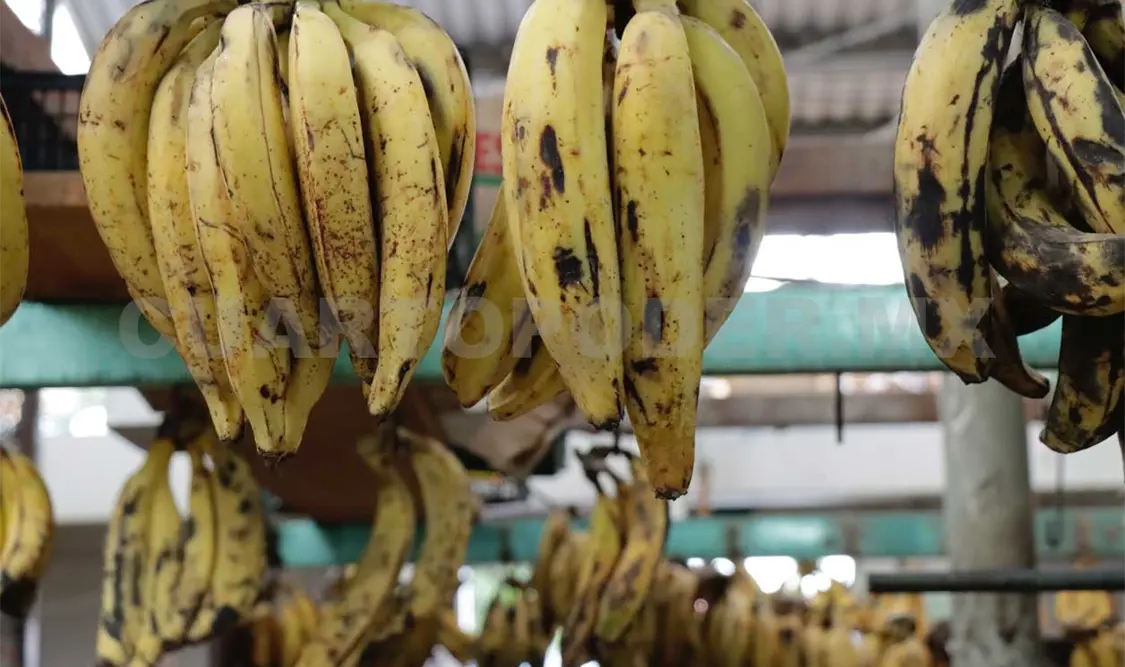 Trueque para hacer frente a crisis alimentaria