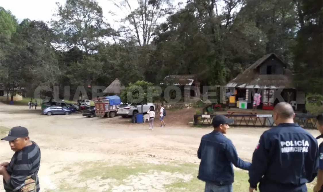 Desmienten presencia de felino en centro ecoturístico