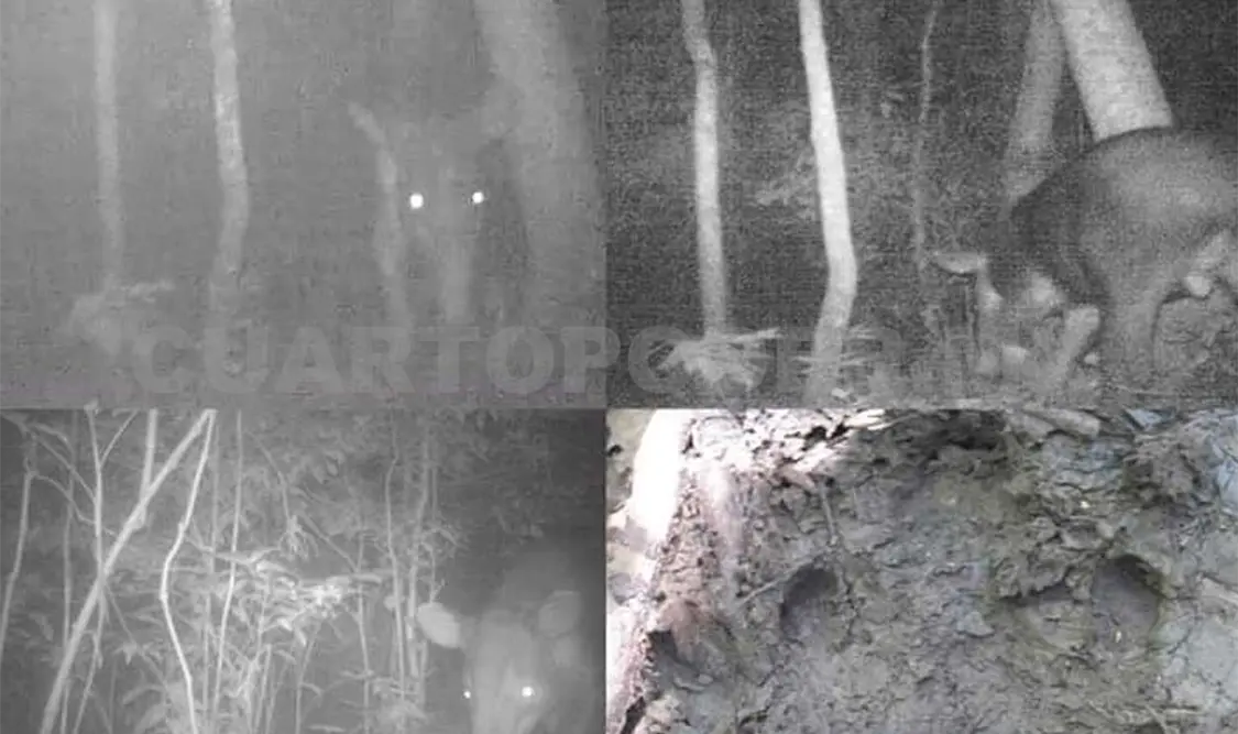 El “jardinero de la selva” reconquista reserva El Ocote