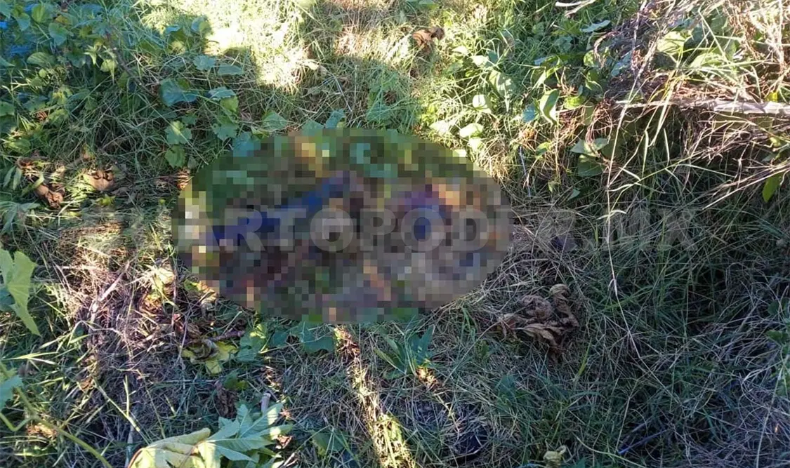 Encuentran cadáver de joven; presuntamente fue asesinado
