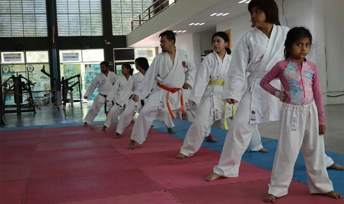 Regresan a la actividad con clase muestra