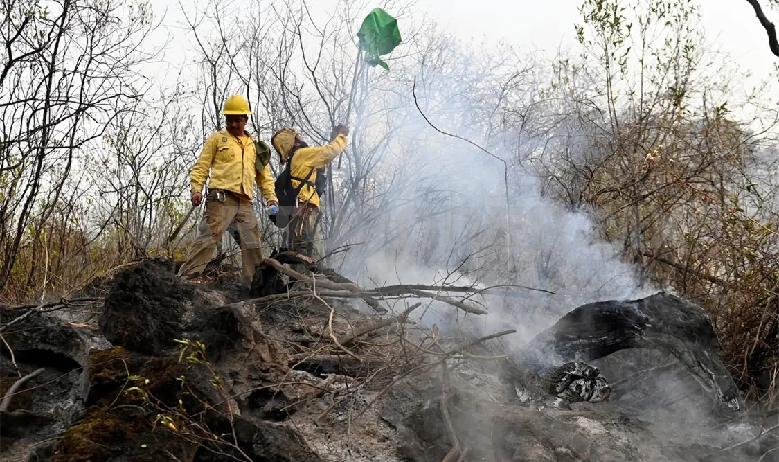 Buscan crear Academia Nacional de Bomberos