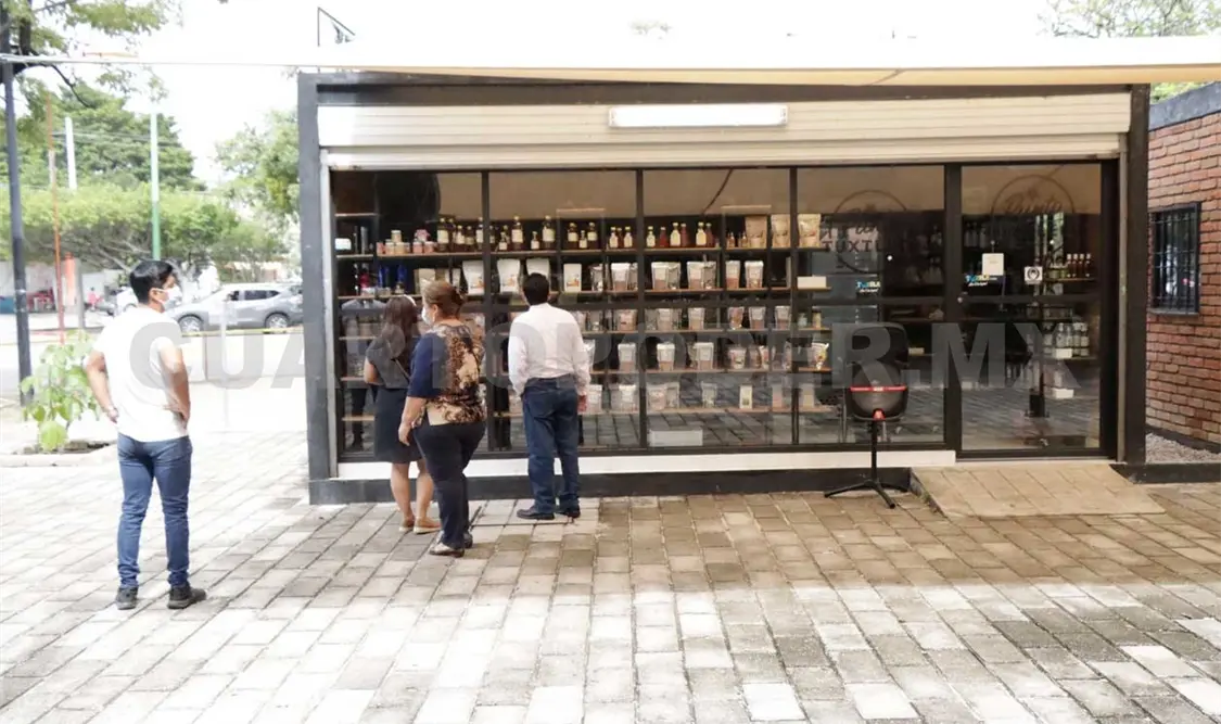 Avanza estrategia Punto Tuxtleco