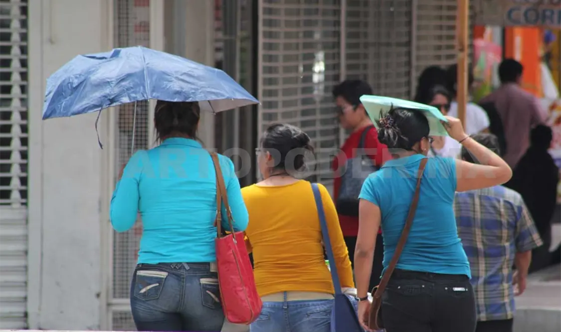 Alta incidencia en violencia política de género