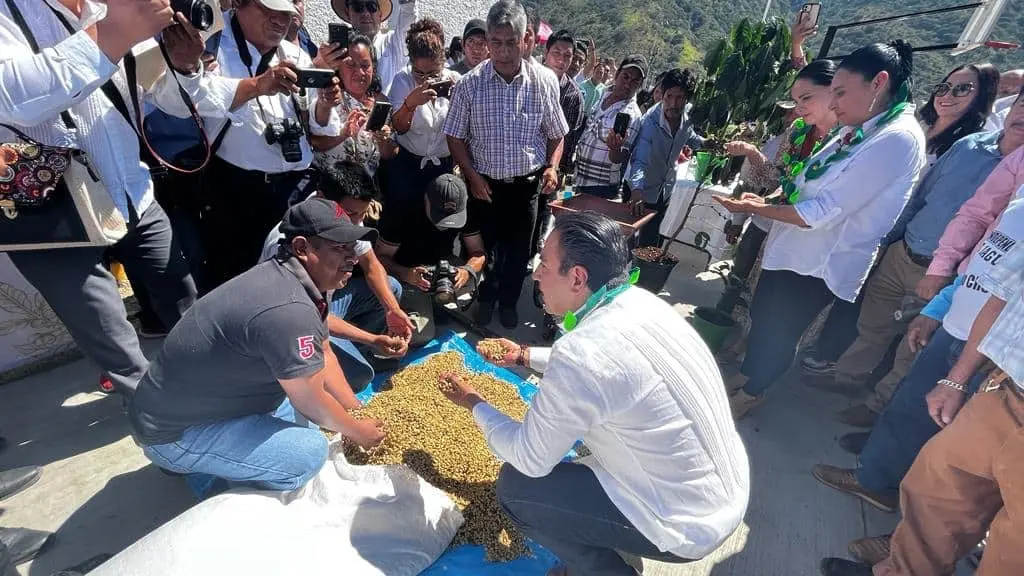 Necesario apoyo a los cafetaleros chiapanecos: Eduardo Ramírez