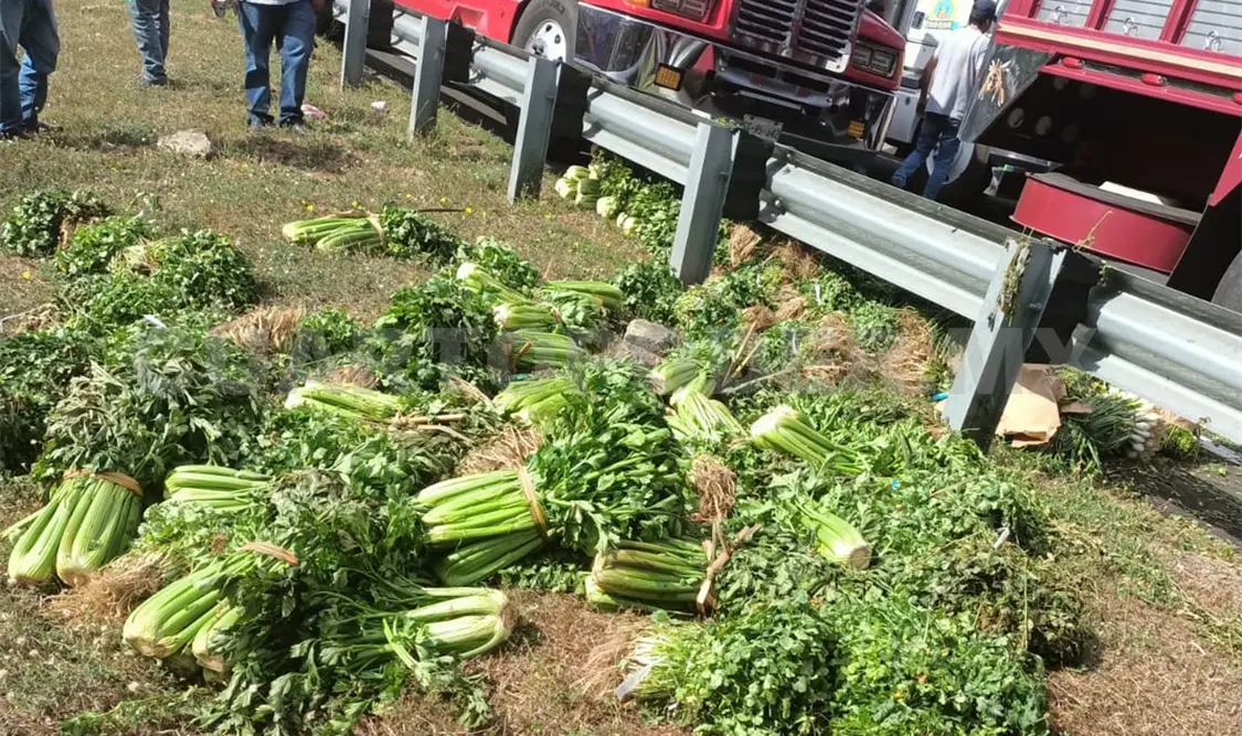 Pérdidas económicas por cierre carretero en la costa